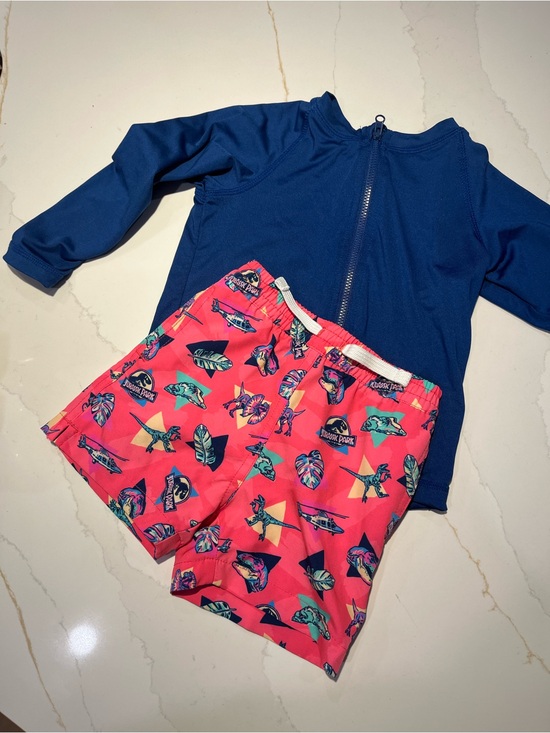 chubbies Other - Chubbies Jurassic Park Print Toddler Swim Shorts and Matching Rash Guard 2T